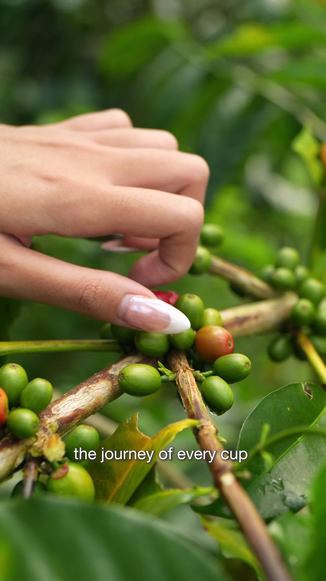 BRUUK coffee story